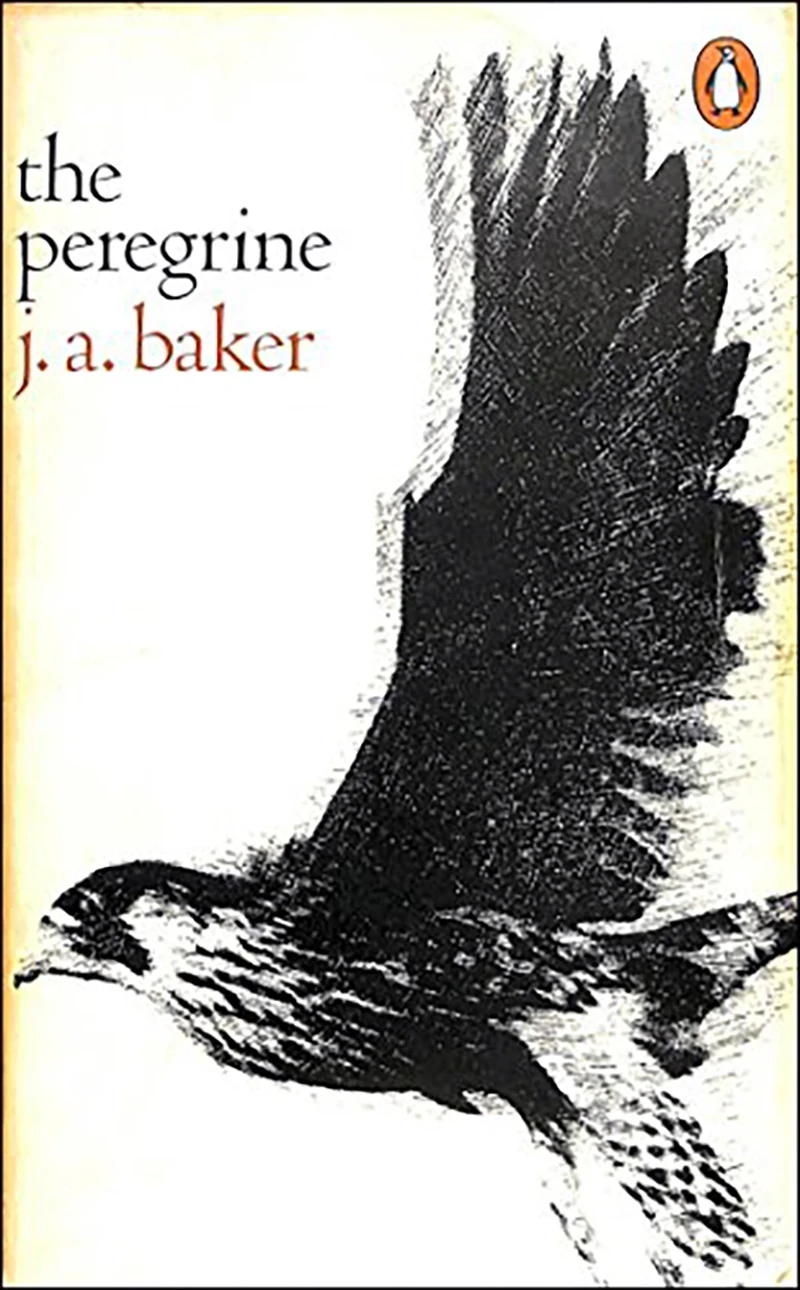 The Peregrine