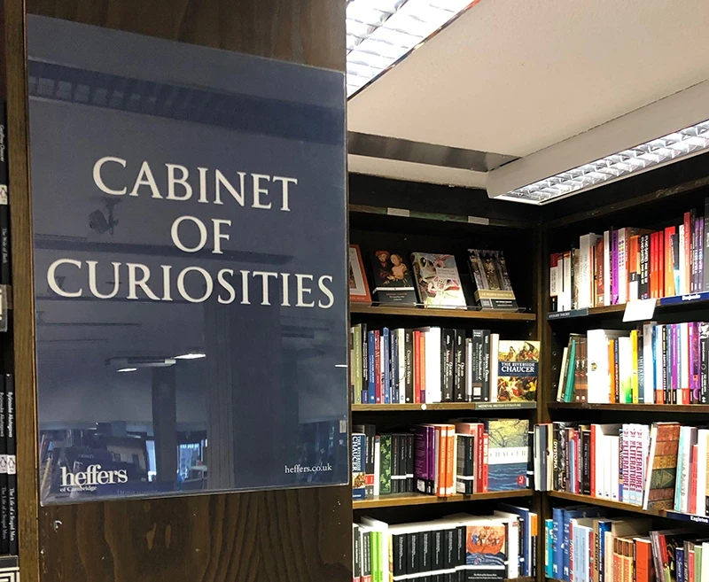 Cabinet of Curiosities - Assorted aviation quotes