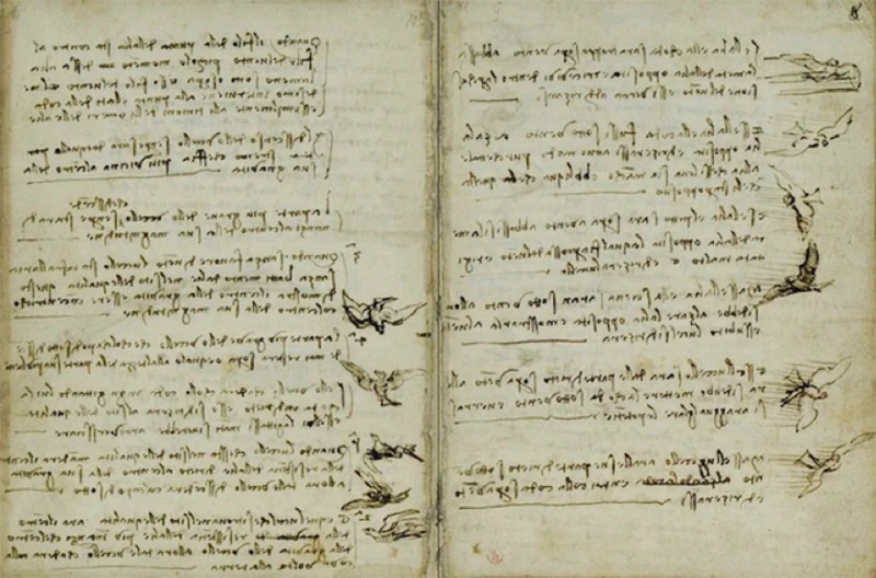 Codex on the Flight of Birds