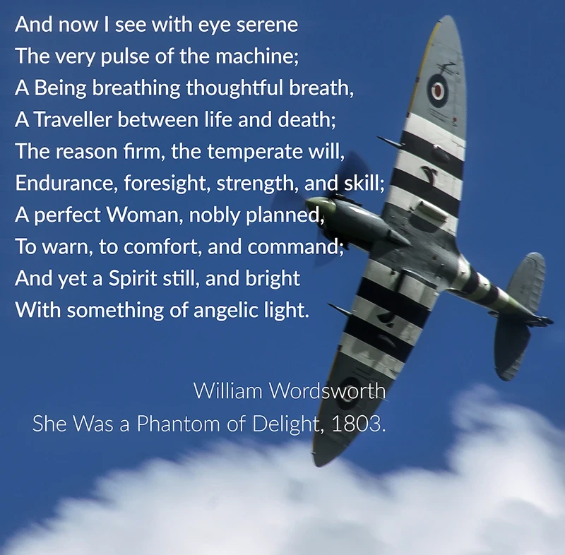 She Was a Phantom of Delight